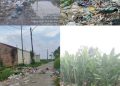 FPLT Deli Serdang Soroti Pengelolaan Sampah Kecamatan Pancur Batu, Camat SDS Dinilai Gagal Kendalikan TPS Liar